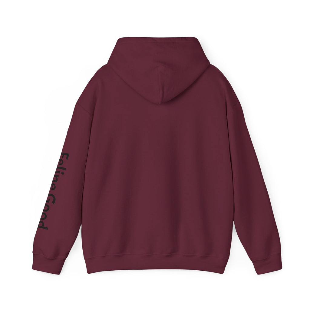 Cat Photo Hoodie – 'Feline Good' Cute Tortoiseshell Cat Pullover
