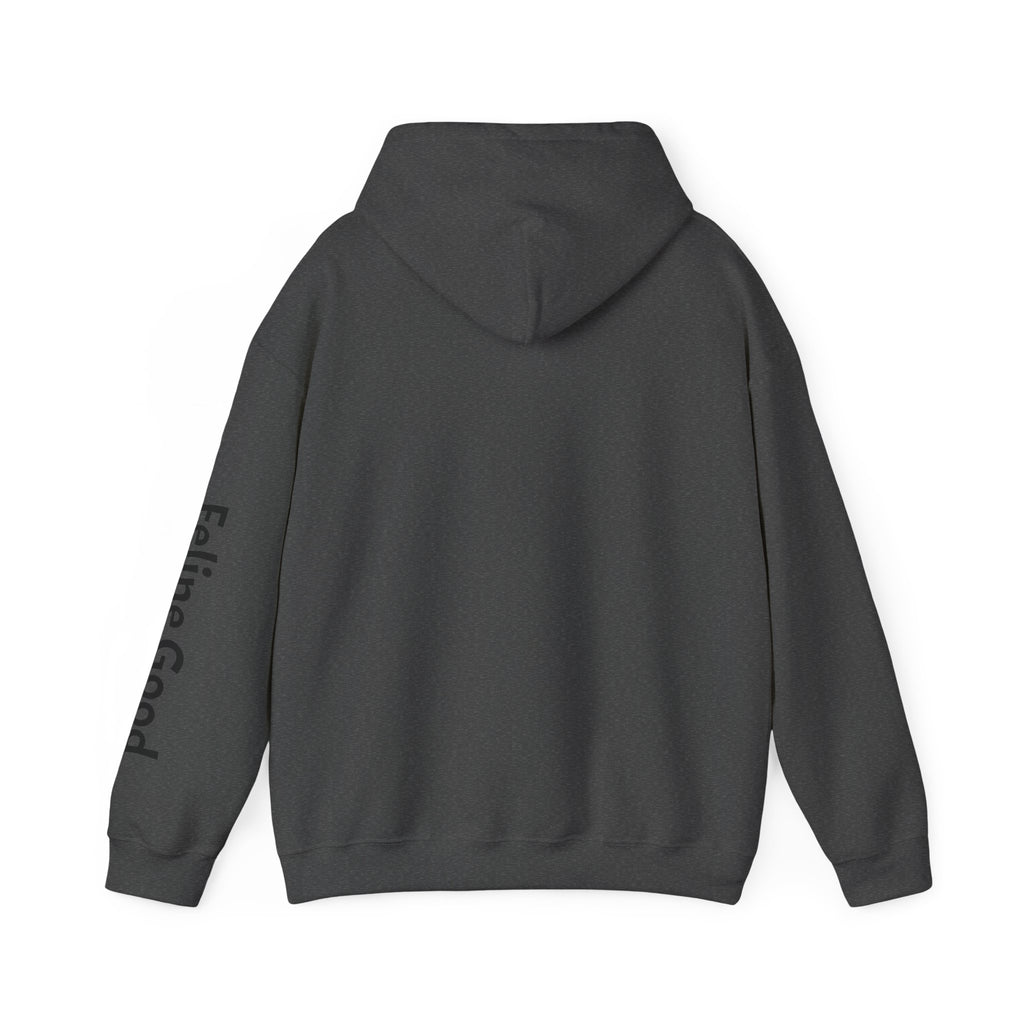 Cat Photo Hoodie – 'Feline Good' Cute Tortoiseshell Cat Pullover